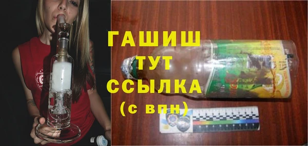 мдпв Бородино