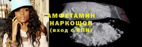 мдпв Бородино