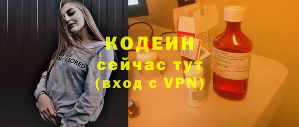 мдпв Бородино