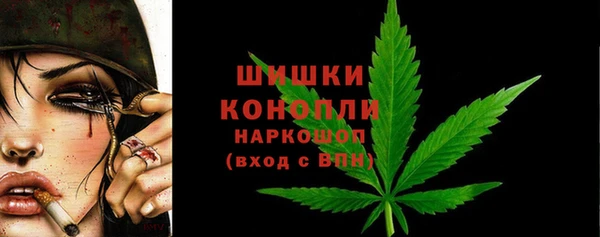 дживик Бронницы
