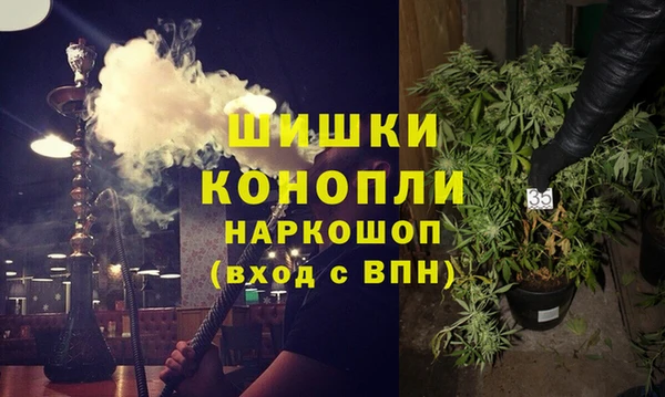 дживик Бронницы