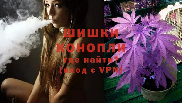 дживик Бронницы