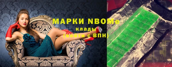 мдпв Бородино