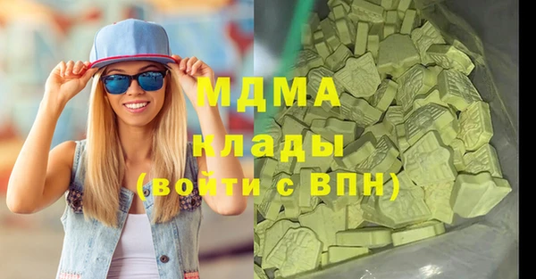 мдпв Бородино