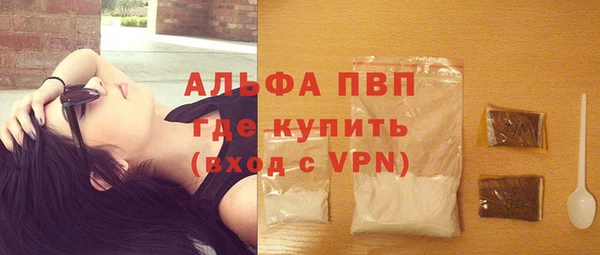 мдпв Бородино