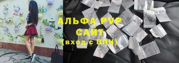 мдпв Бородино
