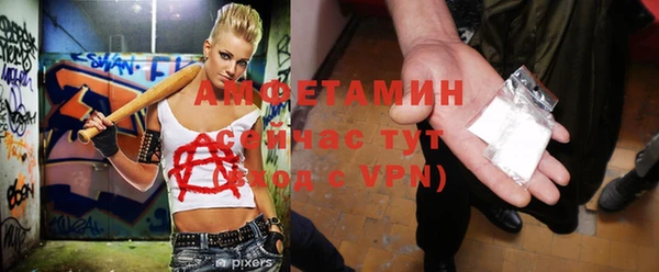 дживик Бронницы
