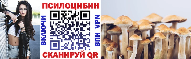 Псилоцибиновые грибы Psilocybe  Купить закладки  Уварово 